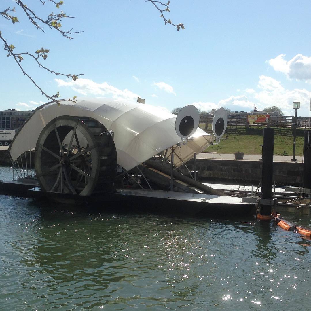 🇺🇸 Dans le port de Baltimore, Monsieur Trash Wheel nettoie les chutes Jones et est devenu un incontournable de la ville ! Cette roue de collecte a recueilli plus de 2 000 tonnes de déchets en 10 ans ! ♻️ (CBS News)

📸 plasticfreejuly