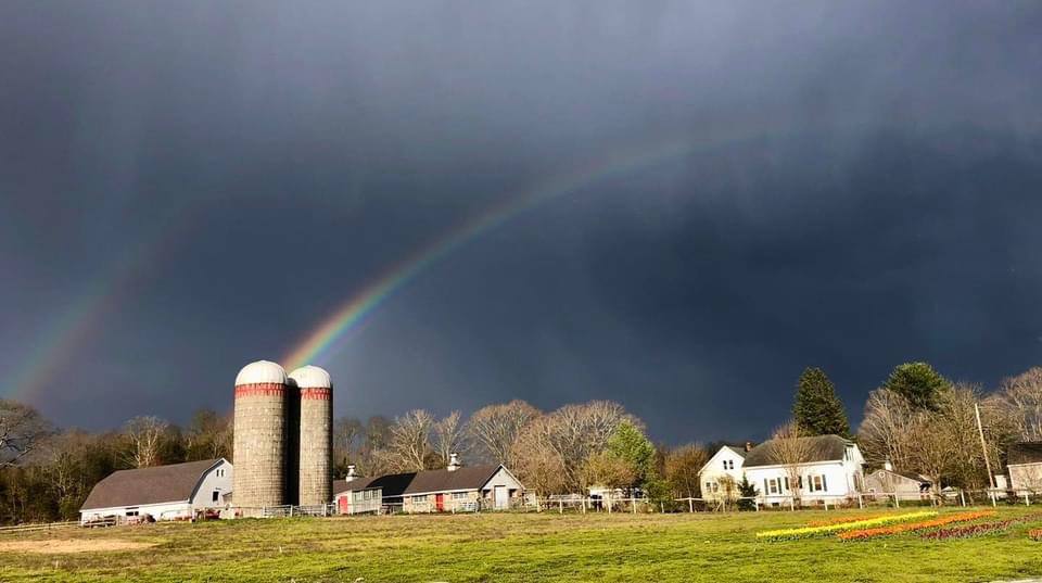 A beautiful of shot of Butterfly Farm by a passerby on Wednesday 4/24. Have a great Thursday……..