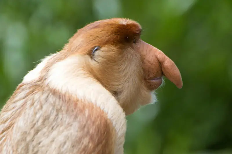 AwkmonkeyBase's tweet photo. dont you dare https://t.co/vEy6GoKY3D