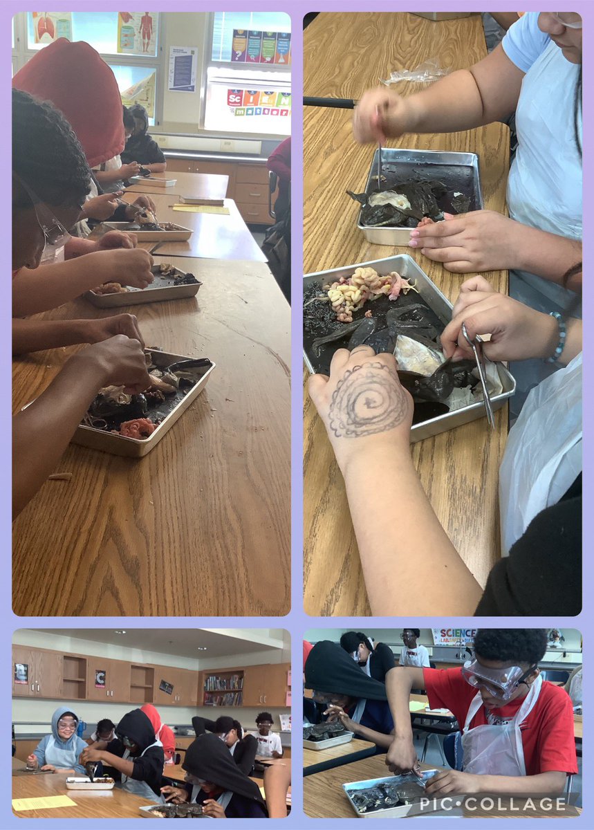 #REAL_Joy as our 6th grade Science students get hands on experience with learning like dissection in labs. So #MonarchProud to see these you kinda be able to explore the mind!

#OPSProud #builtforthis 💪🏾