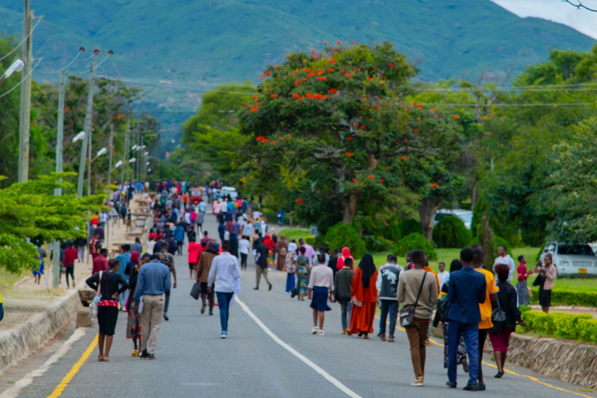 Feel the buzz of learning and growth on the lively streets of MUCE #udsm #muce #studentlife