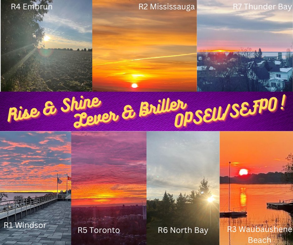 It's the dawn of a new day; the energy is rising! Join us as we continue organizing, building, sharing and fighting back; standing in solidarity with each other. OPSEU/SEFPO's future is BRIGHT! Let's do this together!