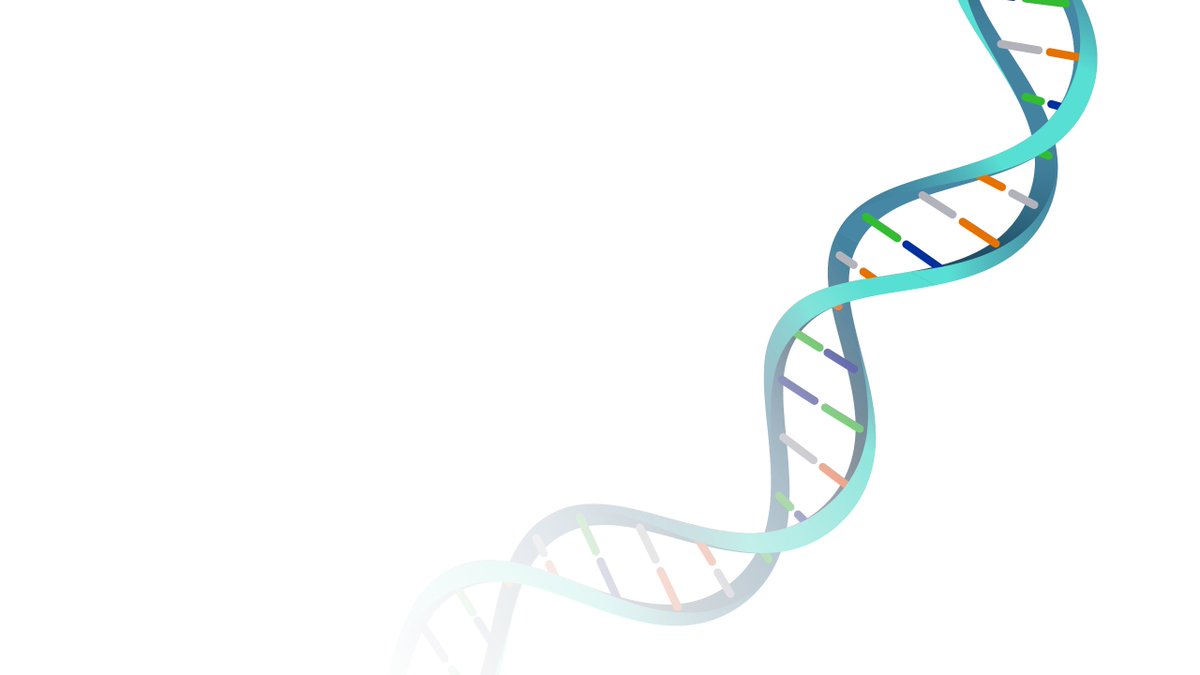 Happy DNA day everyone 🧬❤️ #DNADay! May your helices be right-handed, with a major and minor groove