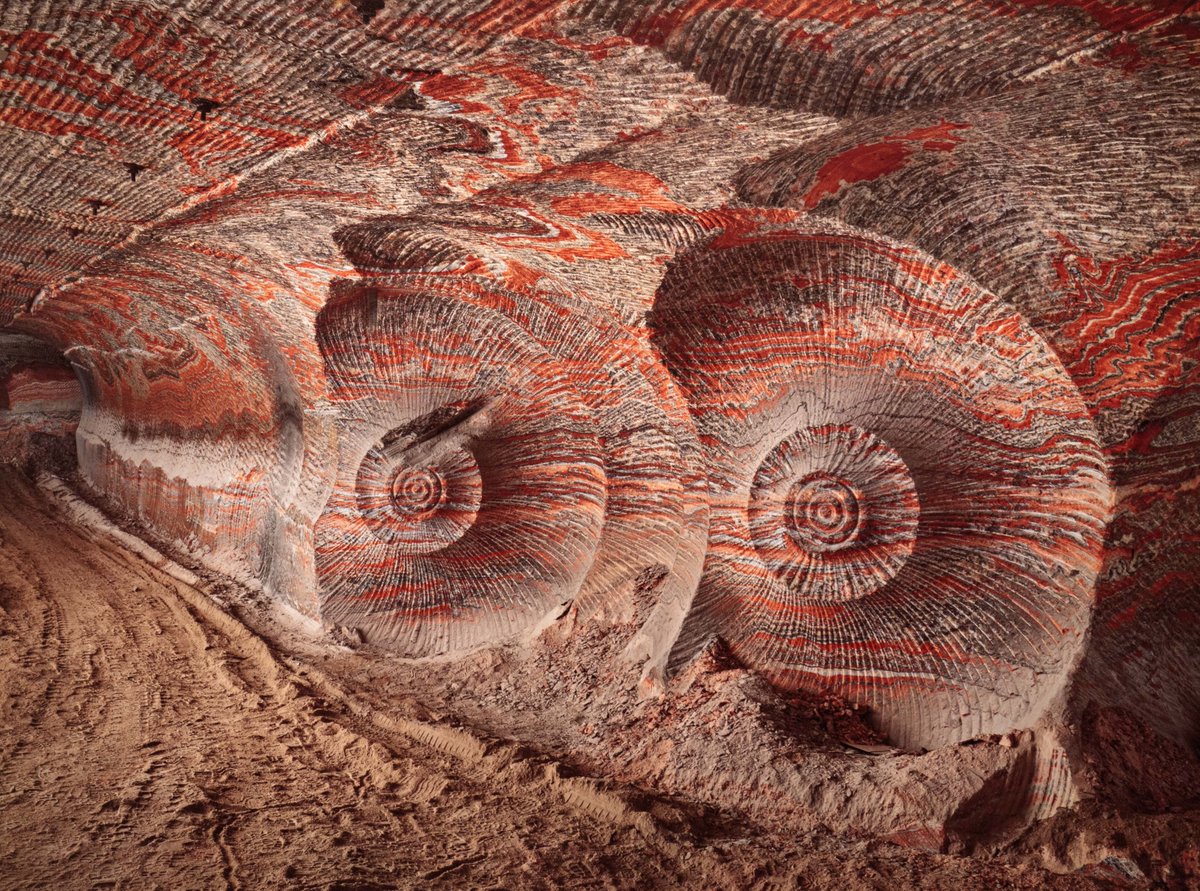 One of the most extraordinary photographs I've ever seen: Edward Burtynsky's image of the Uralkali Potash mine in Russia. These are not giant ammonites, but the marks left by the tunnelling machines.