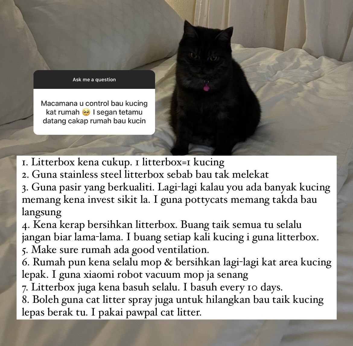 FAQ (cara control bau kucing dalam rumah)