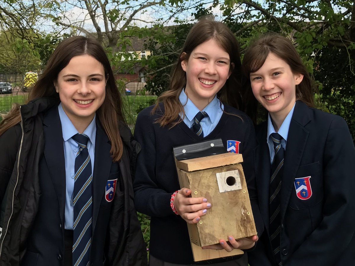 SJHS ECO reps had great fun problem solving and making bird boxes with @GwentWildlife and @WalesCouncil4OL this morning. Hopefully this should bring lots of new wildlife to our doorstep. @SJHSwellbeing