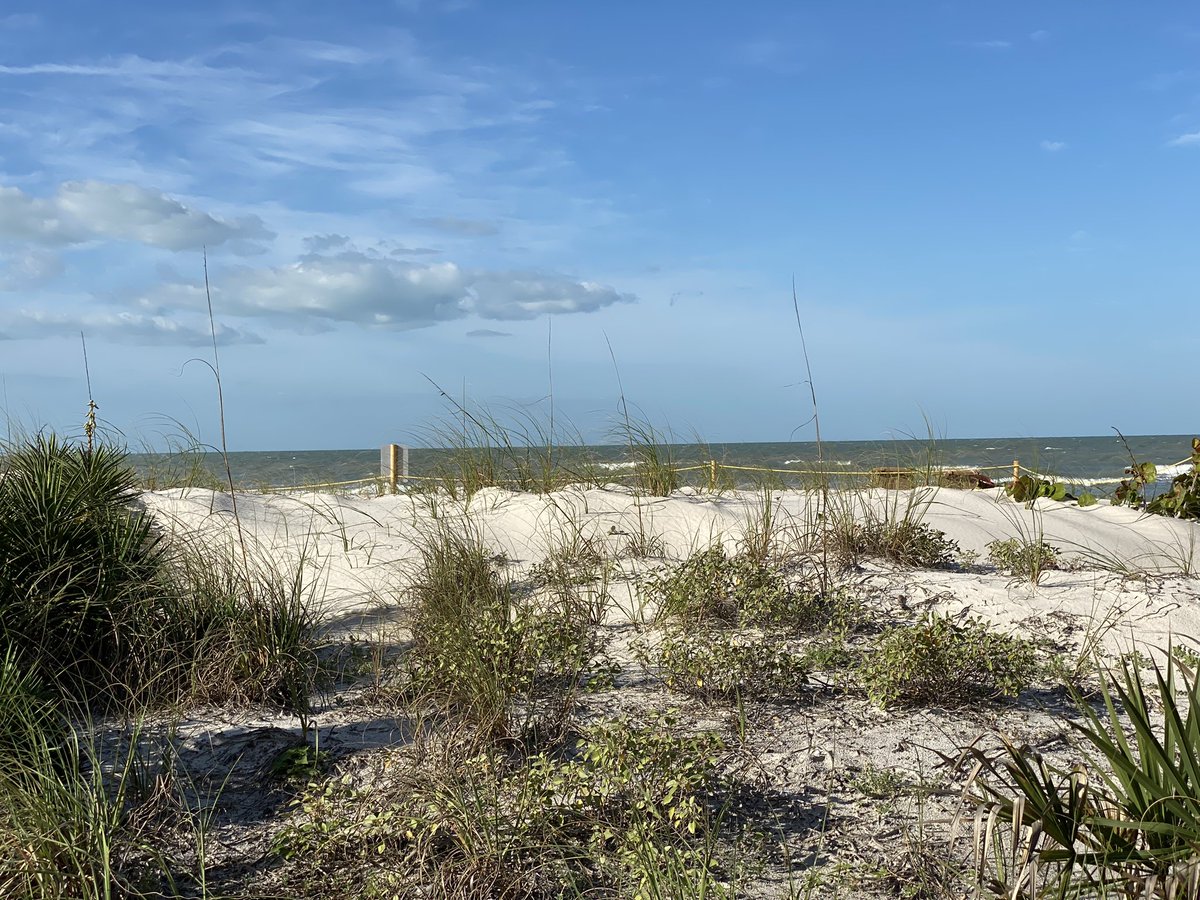 TMindfully's tweet image. Traveling Mindfully has now merged with ImprovingMindfully.com To create a broader mindful experience. Please visit and enjoy. 
#Mindfulness  #Thursday #MorningMotivation