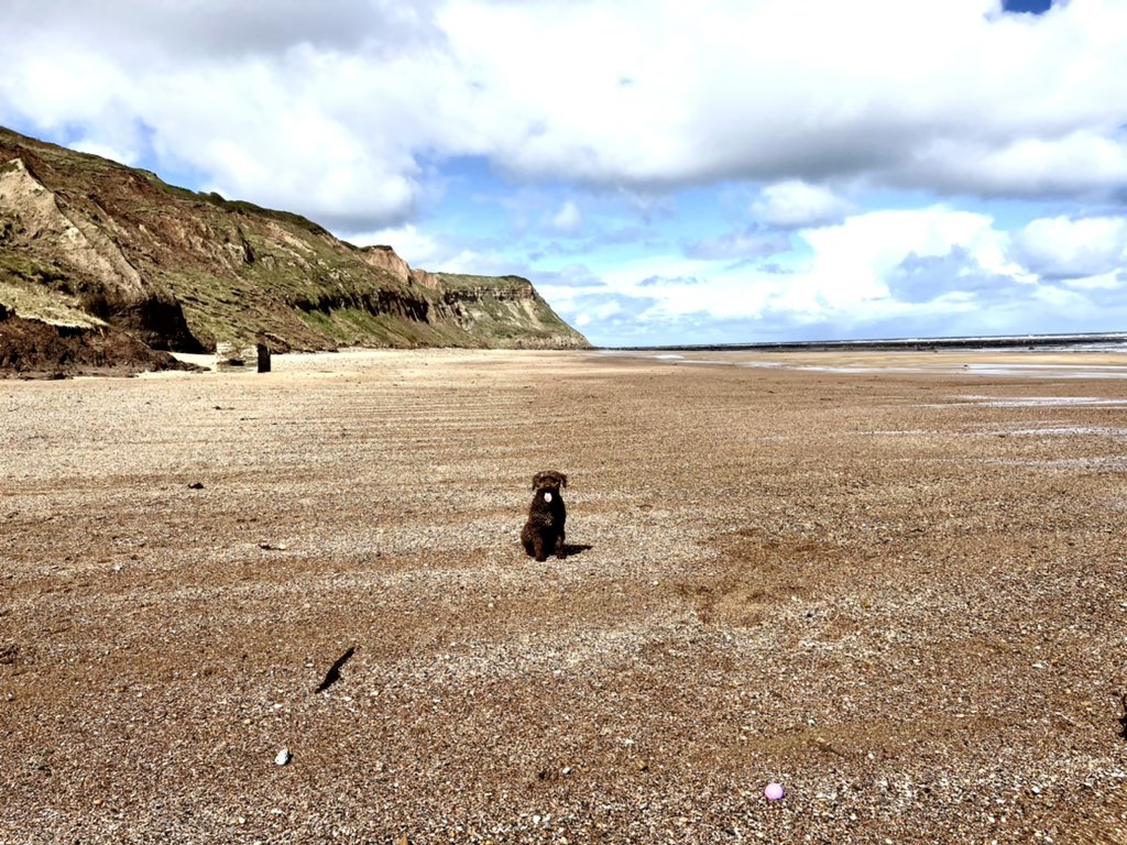 After this morning’s sleet and snow it’s cleared up now, lovely out of the biting wind