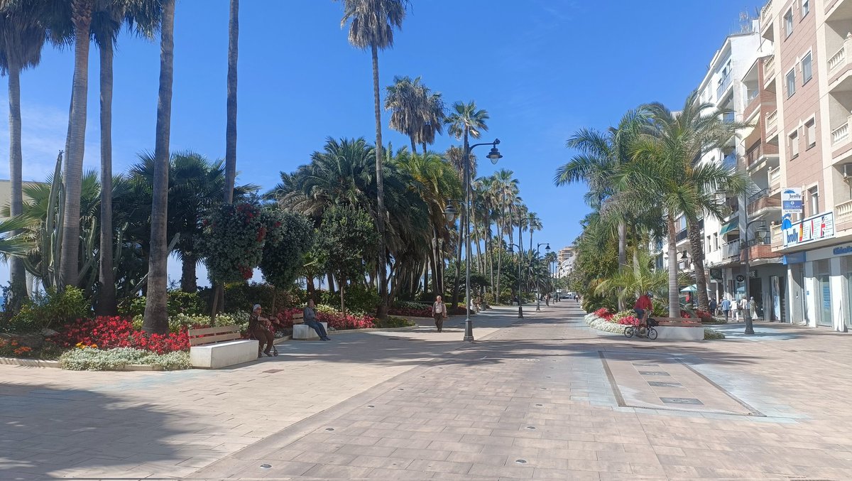 Stopped off at Estepona on our way home. Saw it featured on 'Monty Don's Spanish Gardens'. The amount of work that has gone into greening it up by the council - plants & flowers everywhere! 🌼🏵️🌷🥰 1/3