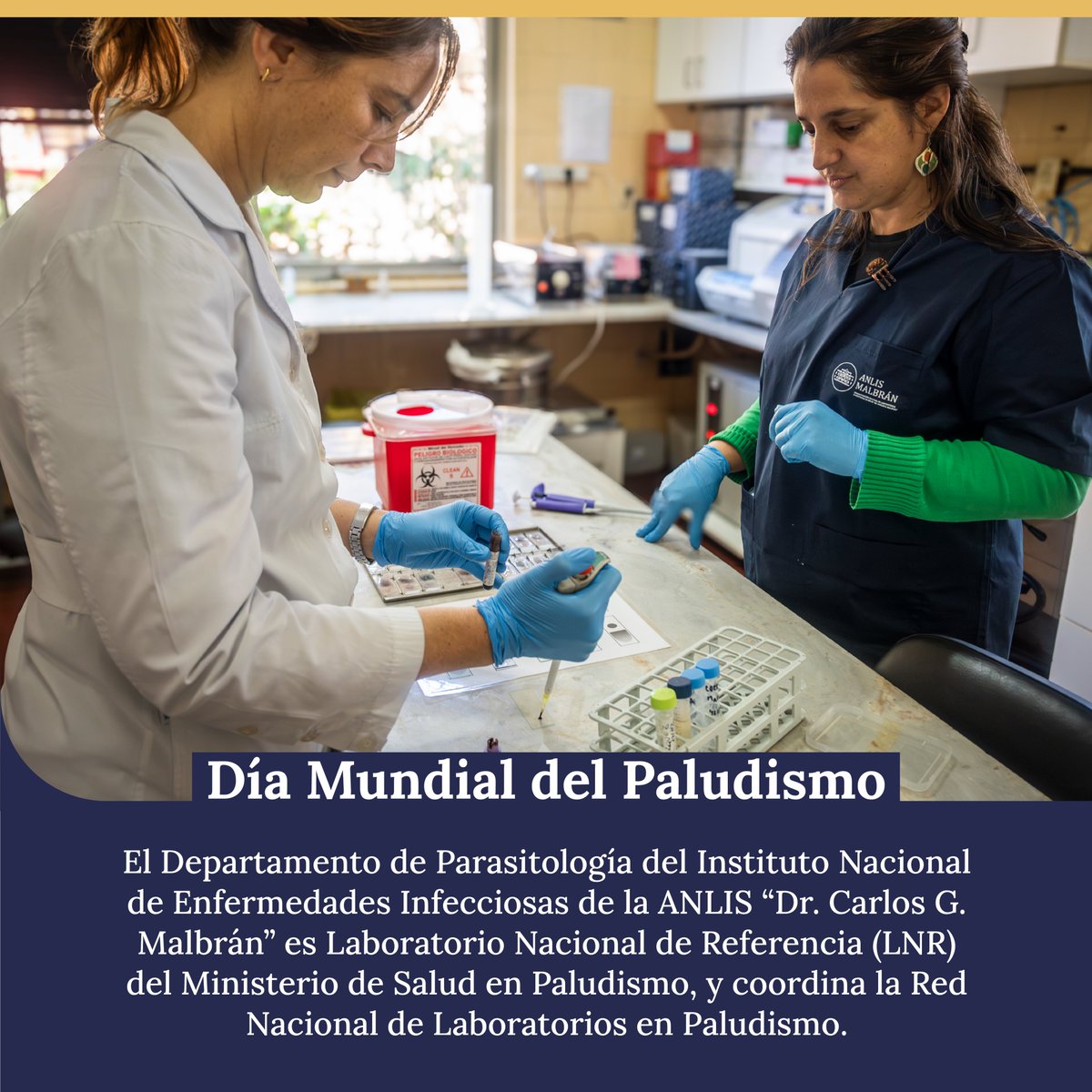 El #Paludismo, es una enfermedad transmitida por mosquitos infectados, y ha sido eliminado en Argentina gracias a un sistema de vigilancia robusto que garantiza la detección temprana de casos importados, así como el diagnóstico y tratamiento oportuno. 👇Sigue en hilo