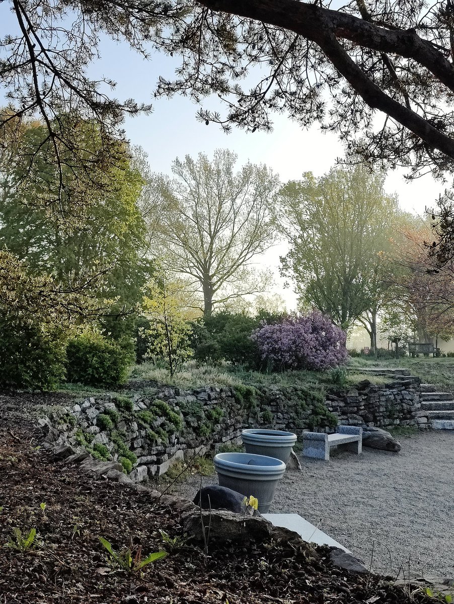 KV Swaggart tweet media