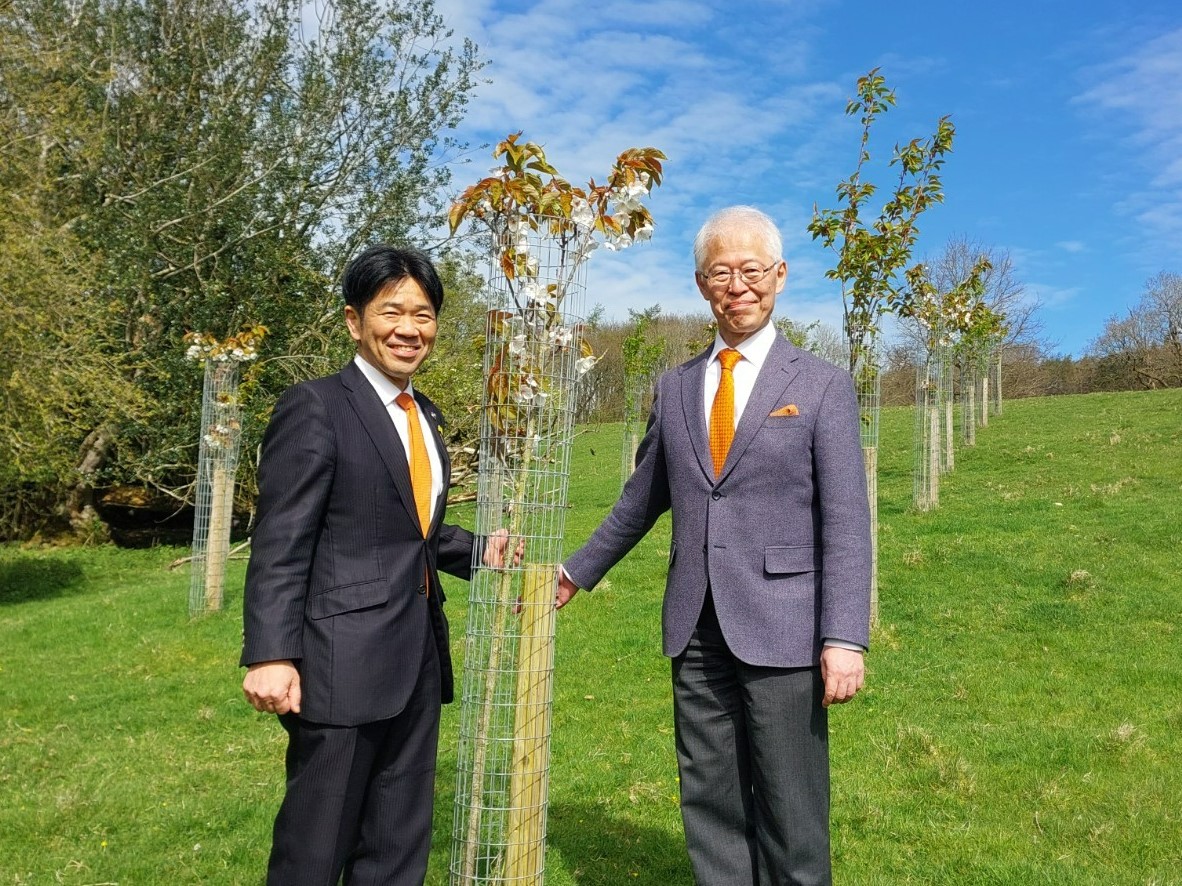 During the 2024 World @MarmaladeAwards Ceremony, Ambassador Hayashi and Mayor Oshiro of Yawatahama City enjoyed the cherry trees planted at @DalemainMansion in 2021 as part of the Sakura Cherry Tree Project 🌸