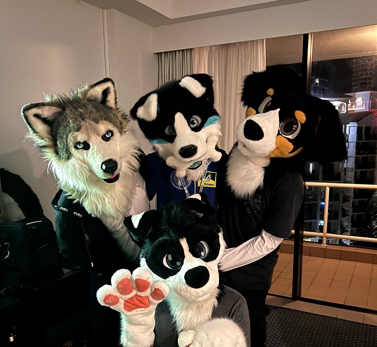 Mistyo (@mistyowolf) on Twitter photo Fun times room partying with <a href="/Kori_Karma/">๐๐ฆด Kori ๐ฆด๐</a> <a href="/OllieAussieShep/">OllieTheAussie ๐ฆ๐บ</a> and <a href="/Dexter_Collie/">Dexter ๐ฆ๐บ ๐ Awawawa</a> :) Fun times room partying with <a href="/Kori_Karma/">๐๐ฆด Kori ๐ฆด๐</a> <a href="/OllieAussieShep/">OllieTheAussie ๐ฆ๐บ</a> and <a href="/Dexter_Collie/">Dexter ๐ฆ๐บ ๐ Awawawa</a> :)