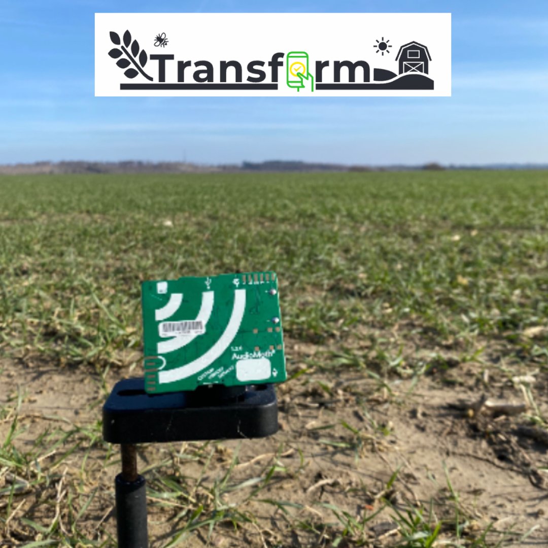 Das Projekt #TRANSFORM an der @HSAnhalt entwickelt Wege zu nachhaltigem & effizientem #Naturschutz, u.a. durch die Entwicklung neuer Methoden zum Monitoring der #Biodiversität in #Agrarlandschaft|en & die   Ableitung entsprechender Handlungsempfehlungen. offenlandinfo.de/projekte/aktue…