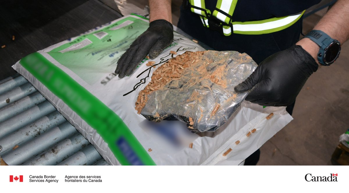 On April 15, 2024, Montreal Maritime and Rail Services #CBSA officers seized 275 kg of dried cannabis hidden in bags of wood pellets. The drugs were in a container being exported from Canada to Turkey.