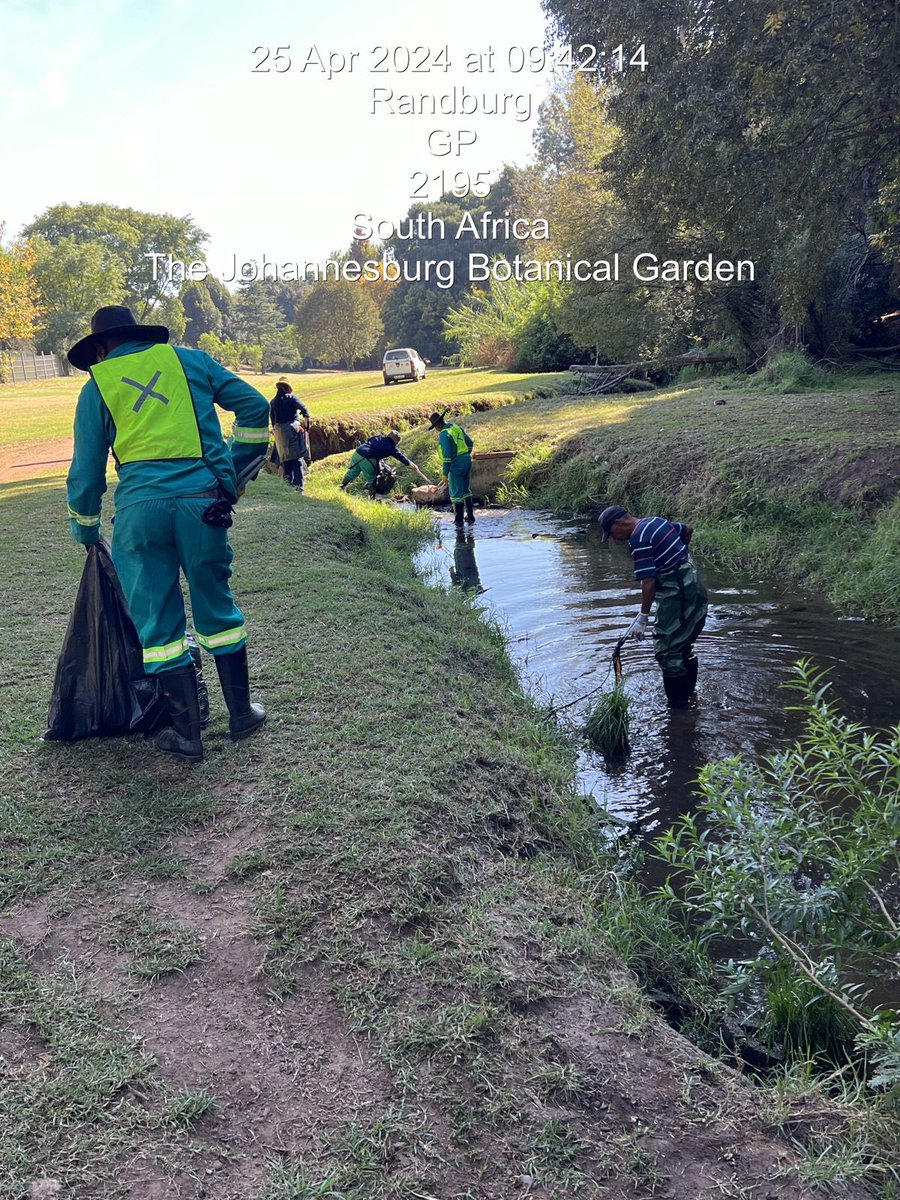 Boots on the ground💚
A clean-up of the stream is underway at Johannesburg Botanical Garden led by the JBG team with the assistance of the Cooperatives.  
#JCPZServices #JoburgCares #jcpzatwork