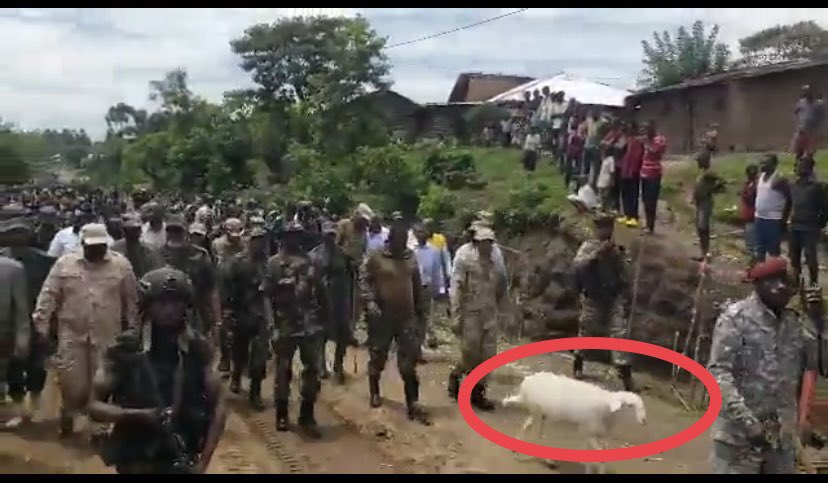 Sinzi uburyo naba bwiramo ko nishimye cyane.❤️🙏🏾 Mu bintu bijya bimbabaza nuko ya Ntama ya RPA yagaragaye mwifoto imwe gusa. Amateka yayo abantu bagenda bayegeranya gusa hari akantu kaba kaburamo. Nanze ko amateka yiyi ntama yo muri AFC/M23 yazabura abantu bakazajya bayavuga…