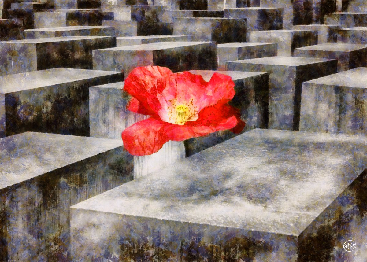 at65_art's tweet photo. 🌹
#25aprile2024 #25aprileSempre #25aprile https://t.co/armqttoTCg