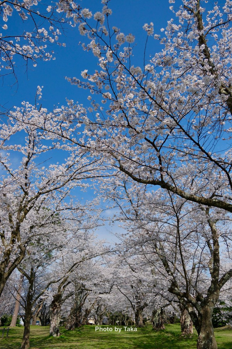 #フォロワー1万人以下の写真家が力作を投稿してたくさんのフォローを貰うタグ 力作…言うほどの写真はないけど、好きな写真をアップしときます