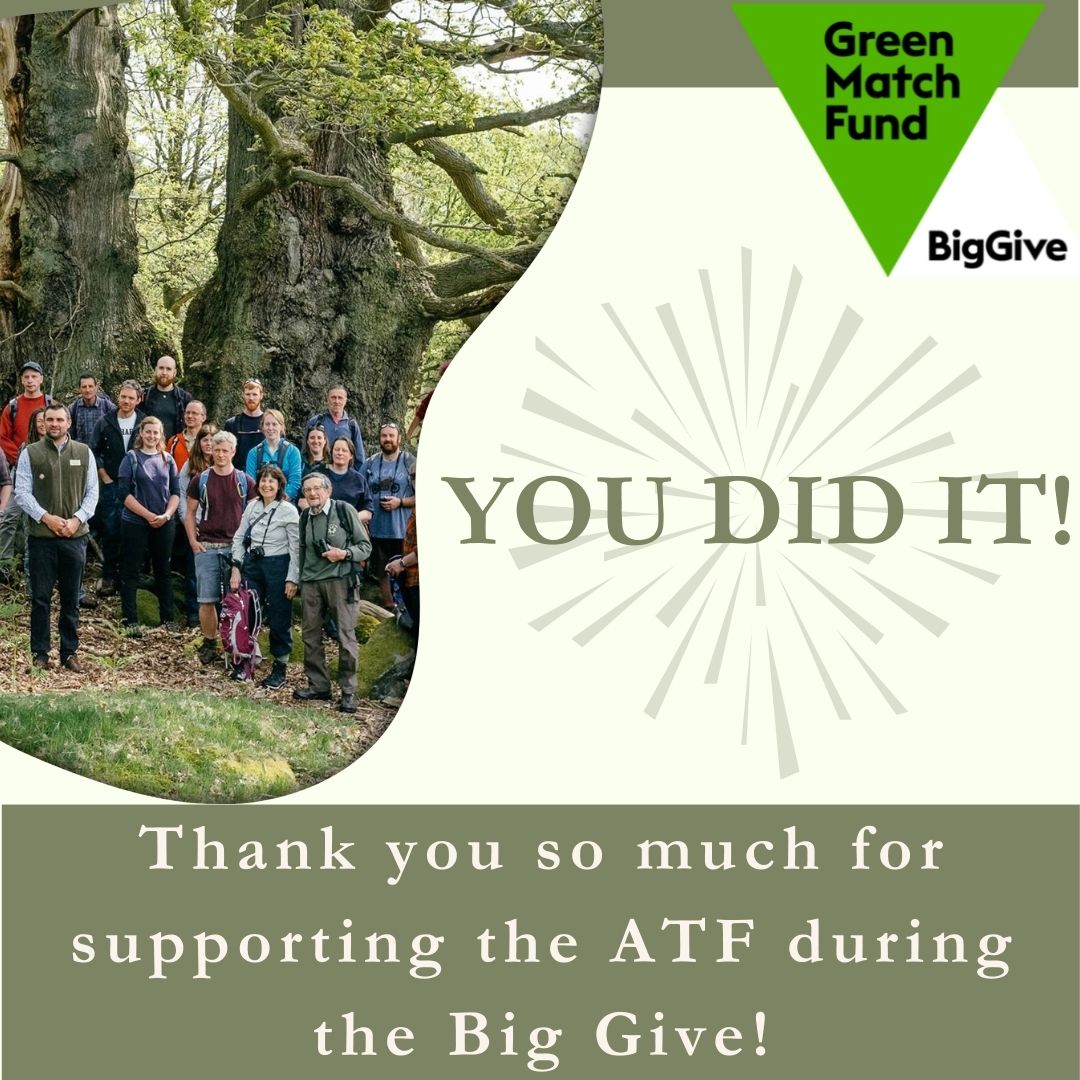 Thank you for your donations, we have successfully raised £10,368, which will give people opportunities to learn about and visit ancient trees. Your support will spread the ATF’s messages about the value and standards of care of ancient and veteran trees.