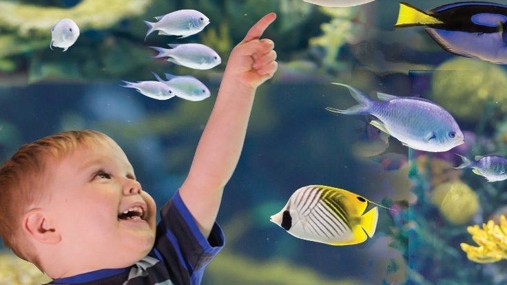 ☂️ Wet weather ideas for the weekend ☂️ It might be a bit wet and chilly outside at the moment but we have some ideas that'll keep you entertained. Here are 20+ places you can visit including @TheDeepHull, @DinostarHull & @lostcityhull. 👉 loom.ly/Jtt9FlY #MustBeHull