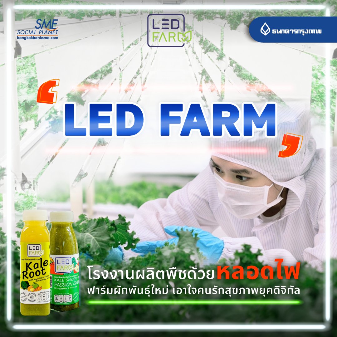 bangkokbanksme's tweet image. 📷📷 จากธุรกิจผลิตหลอดไฟ LED ต่อยอดสู่การพัฒนาด้านการผลิตอาหารและนวัตกรรมการแปรรูปสินค้าเกษตรออร์แกนิก แบรนด์ ‘แอลอีดี ฟาร์ม’ (LED Farm) ที่มุ่งสร้างมาตรฐานสินค้าเกษตรคุณภาพ 
📷 ติดตามรายละเอียด : bangkokbanksme.com/en/led-farm
#LEDFarm #แอลอีดีฟาร์ม #PFAL #Tranforms #ปลูกพืชด้วยหลอดไฟ