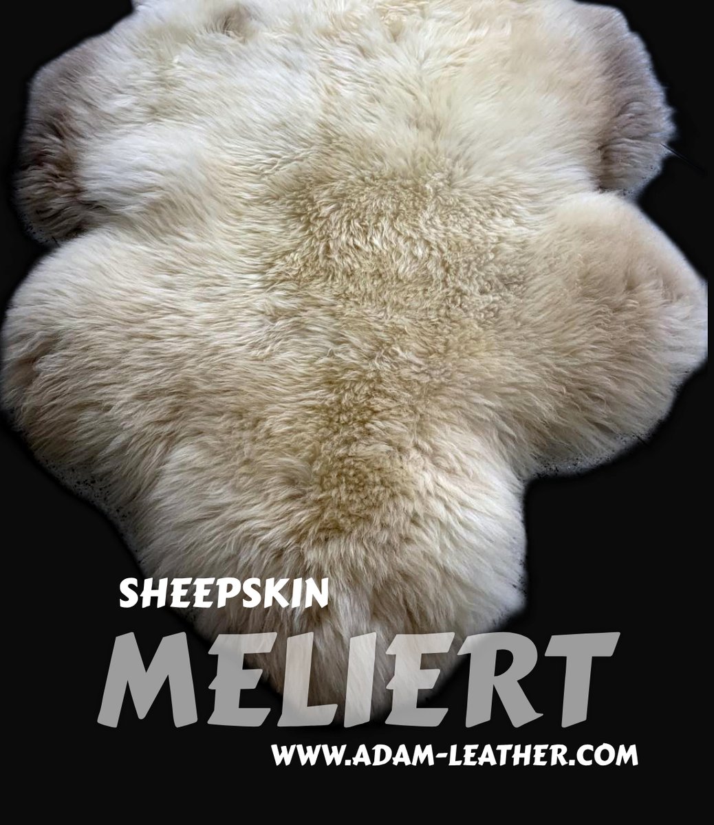 TanneryPoland's tweet photo. Meliert sheepskin, also known as Stracciatella, Melange or Cookies.
Visit the link below to find out more:
https://t.co/byXnobhtZs
#sheepskin #leather #sheepskin #decor #homedecor #Meliert #europe #wholsale #tannery #bestbuy #sheepskingoods https://t.co/Id8UqgVTkp