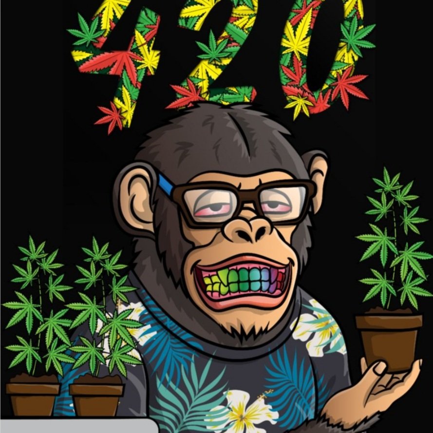 Well, chimps what #NFT is your favourite 🐵

#XRPL #XRPHolders #NFTCommmunity