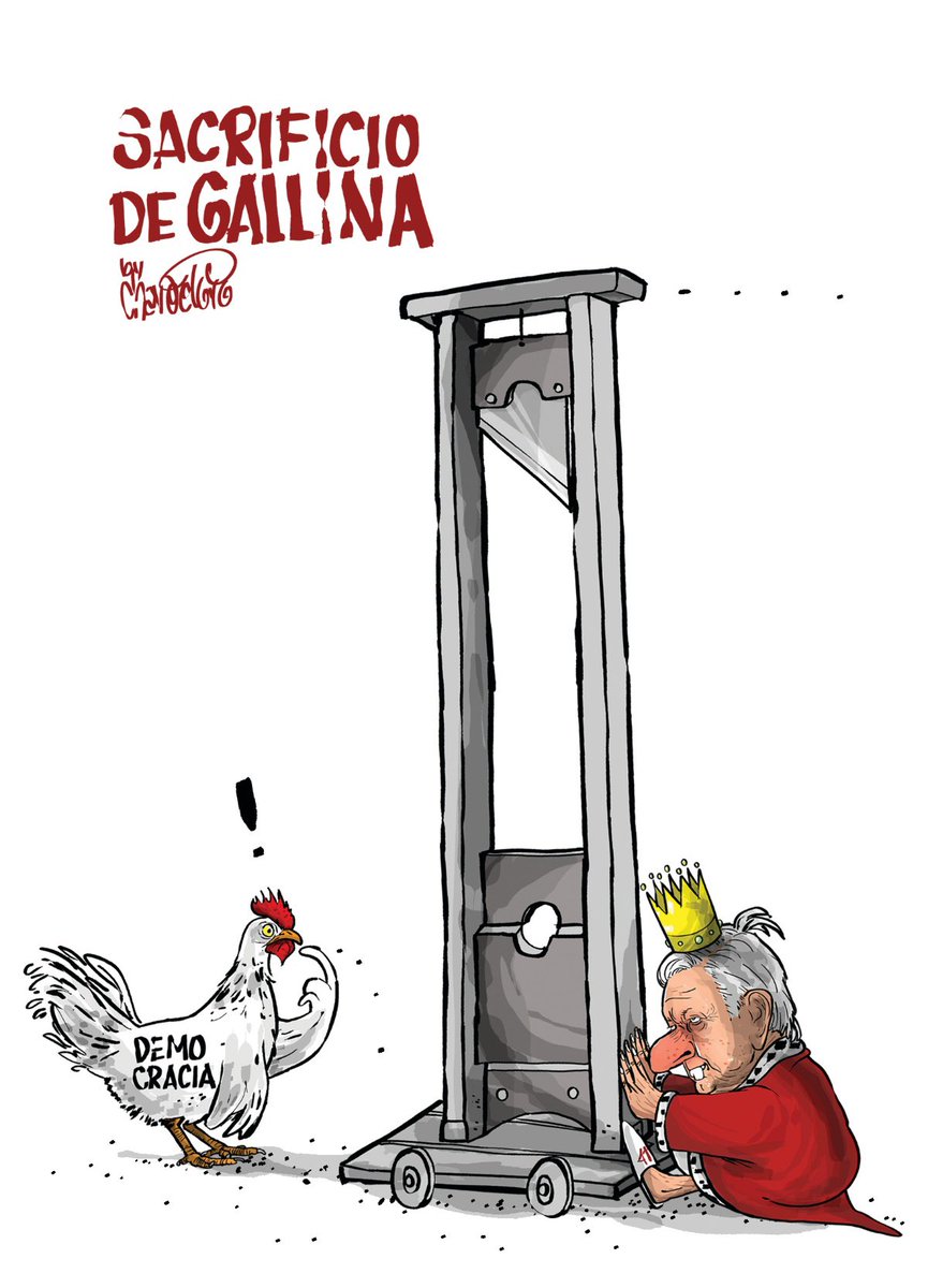 📰 Sacrificio de gallina (@chavodeltoro) #FelizJueves