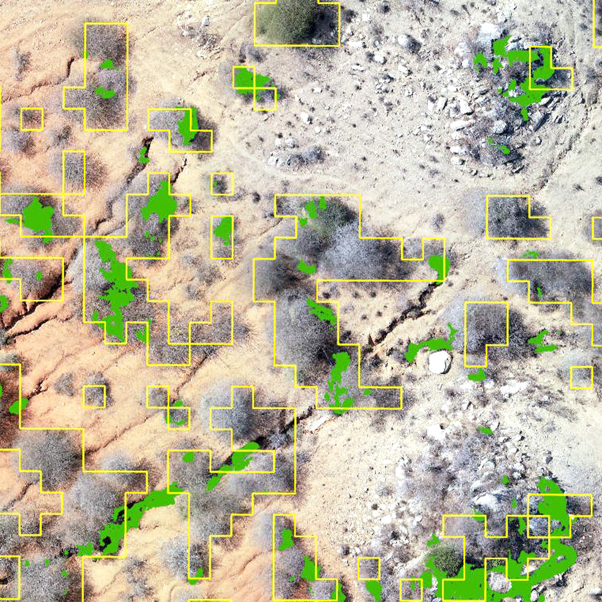 Tanzania Flying Labs used #PIX4Dfields to monitor vegetation regrowth on barren land in Kongwa, Tanzania. With the Magic Tool they identified, tracked, and monitored tree regrowth: hubs.li/Q02v0JB00

#dronesforgood #sustainabledevelopment  #Pix4D #sustainablefarming