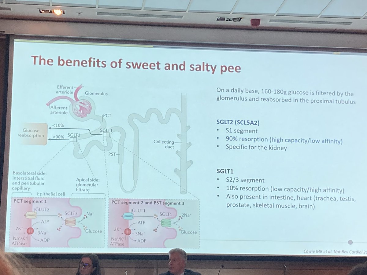 Andreas Gevaert (@andreasgevaert) on Twitter photo We might not agree on the Lasix dose but we definitely agree on the benefits of sweet & salty pee 🍭🧂<a href="/VanAmaryllis/">Amaryllis Van Craenenbroeck</a> at #ESCPrev2024 We might not agree on the Lasix dose but we definitely agree on the benefits of sweet & salty pee 🍭🧂<a href="/VanAmaryllis/">Amaryllis Van Craenenbroeck</a> at #ESCPrev2024