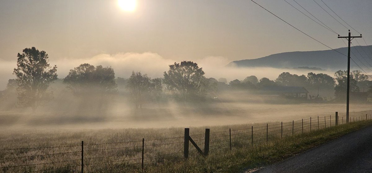 My wife just took this picture this morning.  💙

Beautiful...