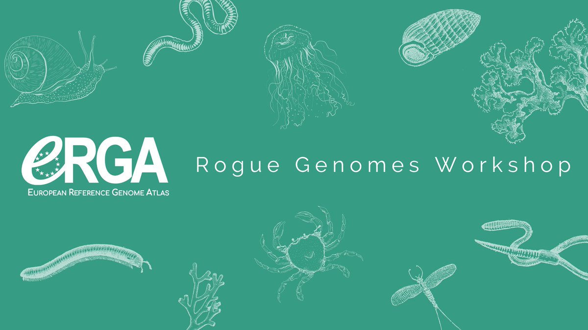 Are you an #ERGA member working on genomes of 'rogue' taxa that often don't reach the standard assembly quality metrics? We invite you to discuss this issue 💬 When? April 30, 2:30 pm CET More information and registration : erga-biodiversity.eu/post/erga-rogu… #biodiversitygenomics