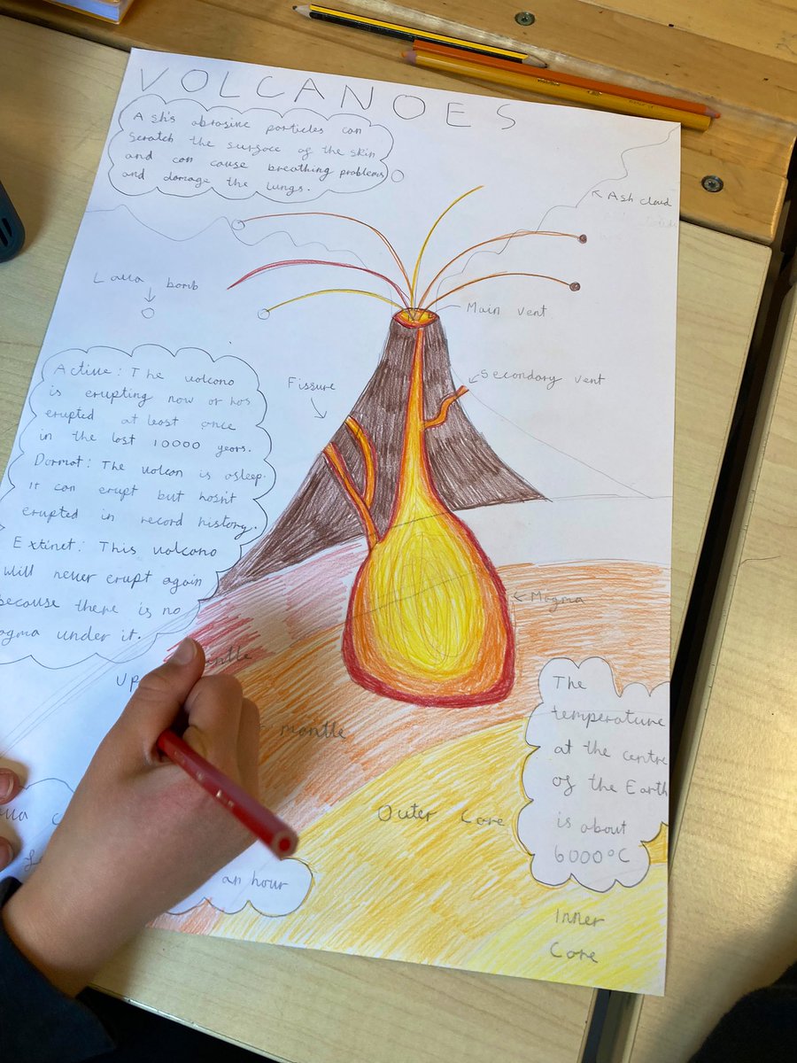 Informative and fantastically presented posters in the Year 5 classroom today.