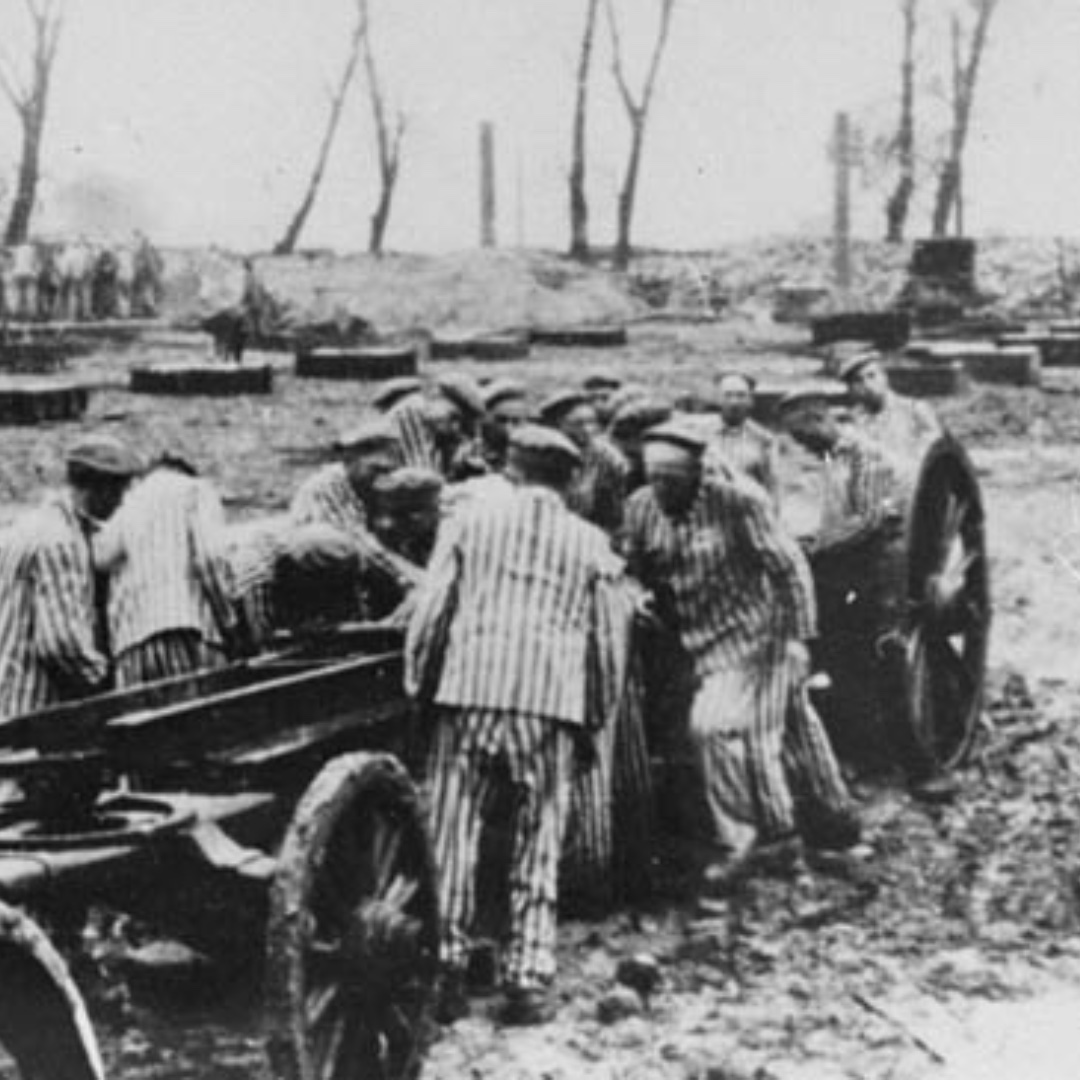 Prisoners building the Krupp factory in #Auschwitz (1921-1943). Other companies such as IG Farben, IBM or Siemens also made use of camp slavery. Courtesy of the National Archives and Records Administration. #SeeingAuschwitz