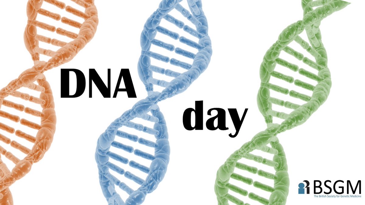 BritSocGenMed's tweet photo. 🧬Happy #DNA day 🧬

Today celebrates
- the discovery of the structure of DNA in 1953 
- the completion of the human genome project in 2003 

without which what we can now offer patients and families would not be possible 

#DNADay24 #Genetics #Genomics #RareDisease https://t.co/AsPzX7KpOO