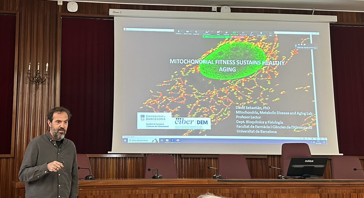 Betaoxi Group (@betaoxiub) on Twitter photo Today, <a href="/_DavidSebast/">David Sebastián</a> was presenting his latest results in mitochondria fitness 🔬🧬 Amazing talk, congrats!!!! 👏🏻 Today, <a href="/_DavidSebast/">David Sebastián</a> was presenting his latest results in mitochondria fitness 🔬🧬 Amazing talk, congrats!!!! 👏🏻