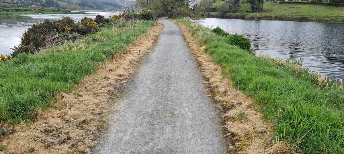 I cycled the carlingford greenaway yesterday. Unfortunately the entire length had been sprayed with glyphosate on both sides. I support the expansion and extention of cycle infrastructure but we need to be aware that they often go through environmentally sensitive areas.