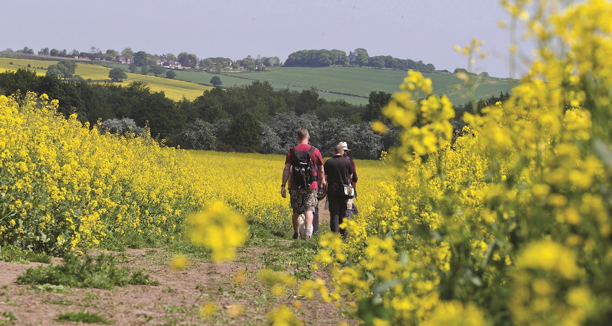 Thinking about ways you can get outdoors and see the sights of Chesterfield this spring? Check out the Chesterfield Walking Festival and other events taking place in the town: chesterfield.co.uk/visiting/event… #LoveChesterfield #ChesterfieldEvents