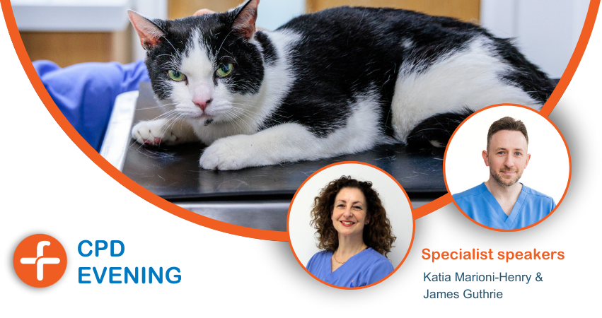 #Vets & #RVNs, we’ve 3 spots left to join us for our free #CPD, a double lecture evening hosted at our hospital on Thurs 9 May.

Hosted by specialist James Guthrie from our orthopaedics team & neurology specialist Katia Marioni-Henry. More > bit.ly/2U2Vq52