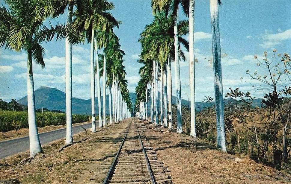 💥🇳🇮🕊¡Buenos días camaradas!

📌Foto del recuerdo de la entrada al Ingenio San Antonio. 
Cuantos conocen este icónico lugar?

📍 Chichigalpa-Chinandega.

📸 Fotografías históricas de América Central.