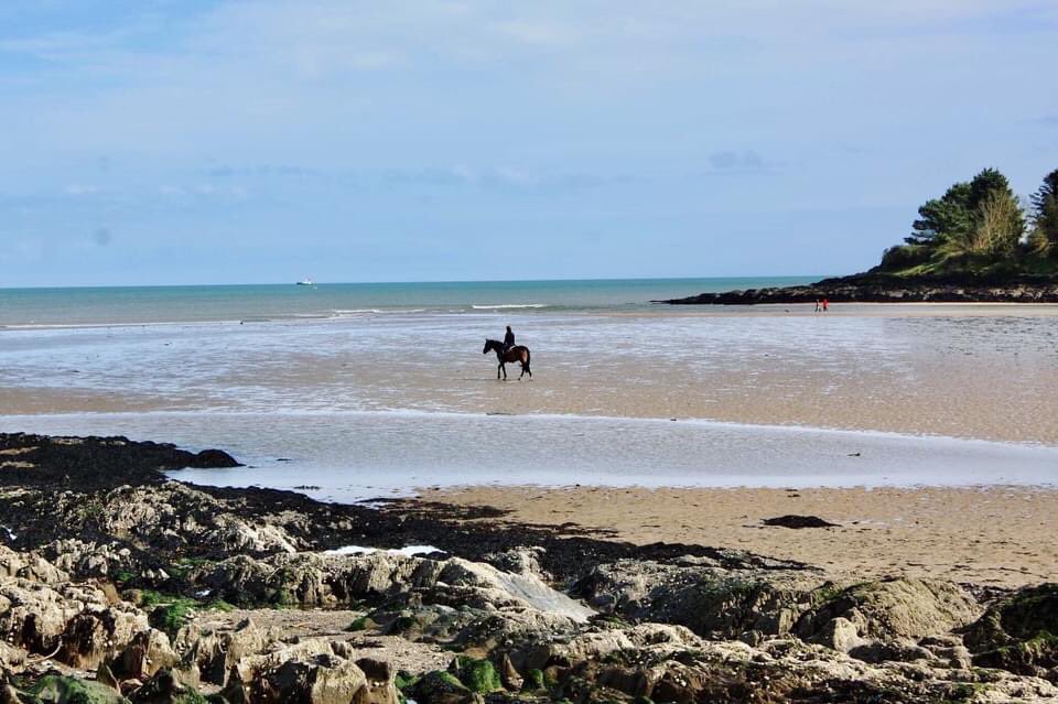 13th April 🐴🪨🌊🌳 #fountainstown #beach #horse #horses #horsriding #heaven #rocks  #sea #sky #bluesky #sand #tree #trees #april #cork #ireland #canon #filter @pure_cork @corkbeo @yaycork @CorkDaily @LovingCork @CravingCork