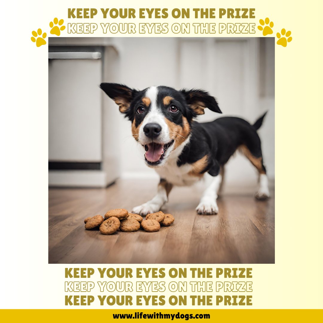 Never lose sight of what you're chasing! 🐶👀 For more fun memes, follow us and to learn more about dogs visit lifewithmydogs.com #dogmemes #happydogs #furbabies