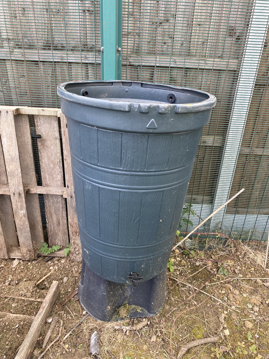 One of our neighbours was getting rid of a water butt - in the spirit of recycling ♻️ gardening club @LightmoorPri decided to use it, without a lid, to collect the never-ending flow of rainwater for watering 🌱 @zellaruk @Biffa @WaterPlusUK @earthcubs #zellargreenschools