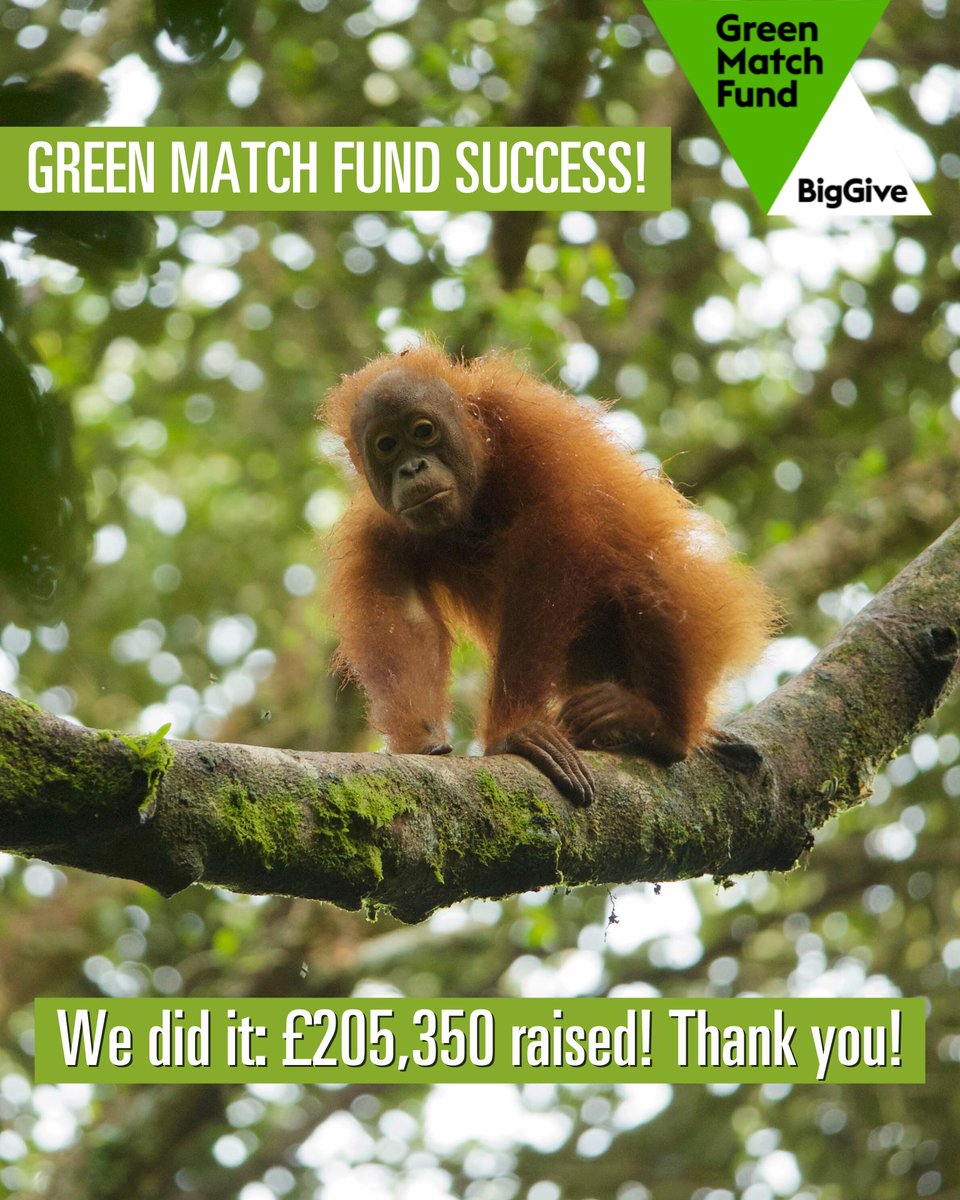 We did it!  Thanks to your generous support, we surpassed our @biggive Green Match Fund target and raised £205,350 to help grow effective conservation solutions through our Continuation Funding programme offering long term support! Thank you!