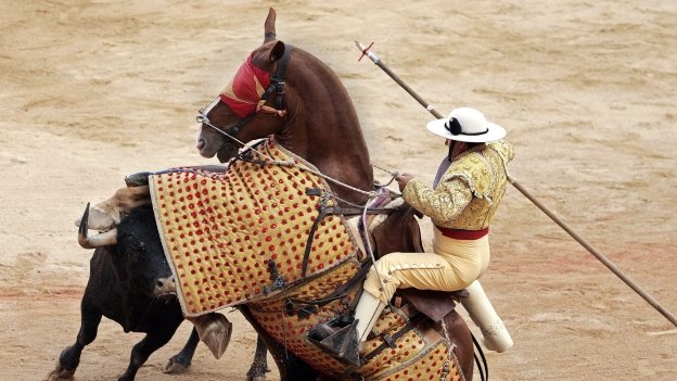 Por mucho que le pongan adjetivos, que reciban subvenciones millonarias, que cambien Leyes a medida... la tauromaquia es VIOLENCIA.