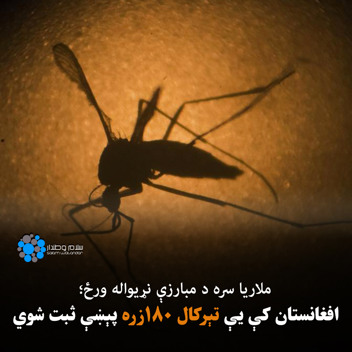 SW_Pashto's tweet photo. نن د اپرېل ۲۵مه د ملاریا ناروغۍ پر وړاندې د مبارزې نړیواله ورځ ده. د عامې روغتیا وزارت مسوولانو کابل کې د یوې غونډې پرمهال «د غوره ژوند په موخه د ملاریا پر وړاندې د مبارزې چټکولو» تر شعار لاندې دغه ورځ ونمانځله.

نور د سلام‌وطندار پر پښتو وېب‌سایټ ولولئ! https://t.co/EPft66I4K0