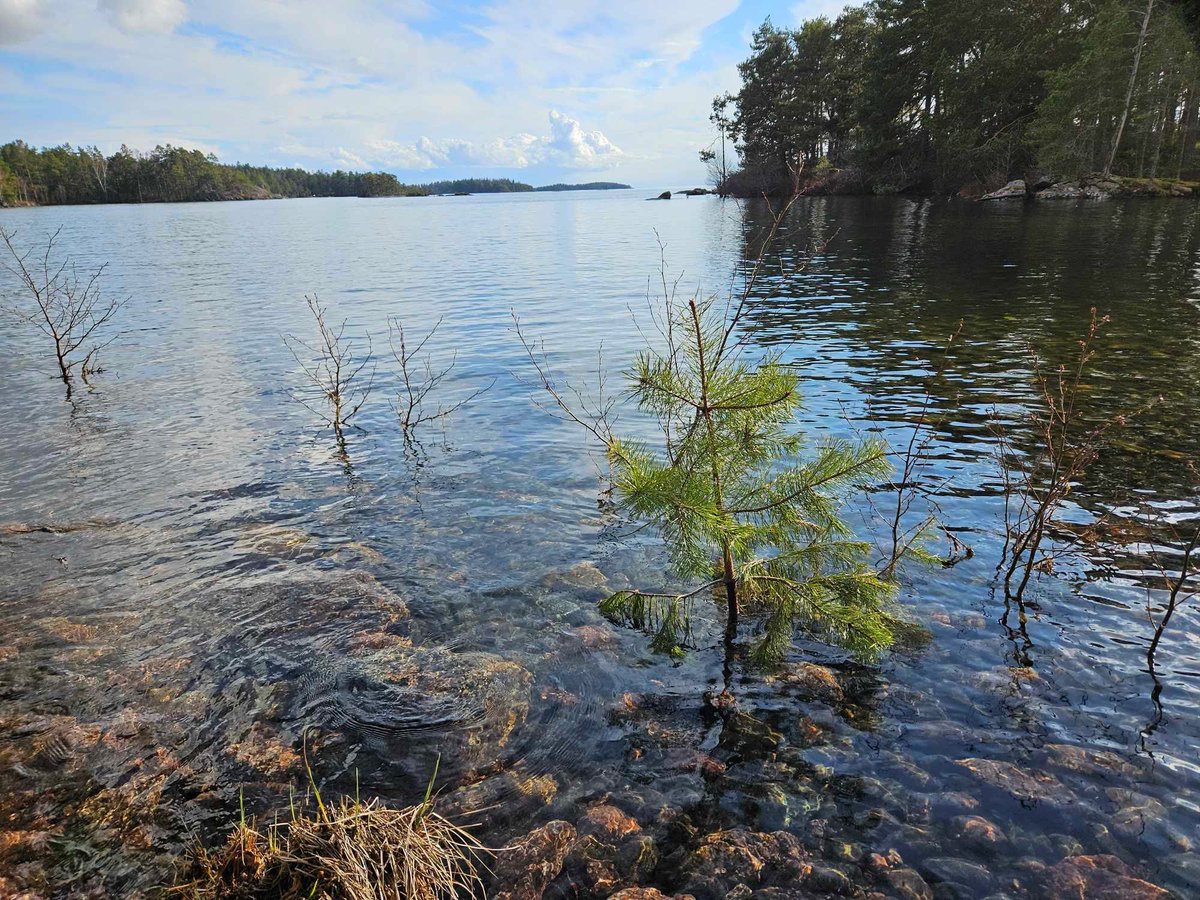 Hög vattennivå i Vättern: den 14 april var vattennivån vid mätstationen i Motala uppe på rekordnivån 88,98 meter över havet. En längre period med nederbörd i det område som rinner till sjön ligger bakom nivåhöjningen. #vatten #hydrologi smhi.se/nyhetsarkiv/re…