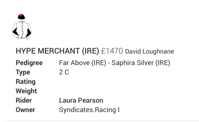 Brilliantly named! @jackcantillon 😂 #TalkingHorse 🗣 #HotAir 💨