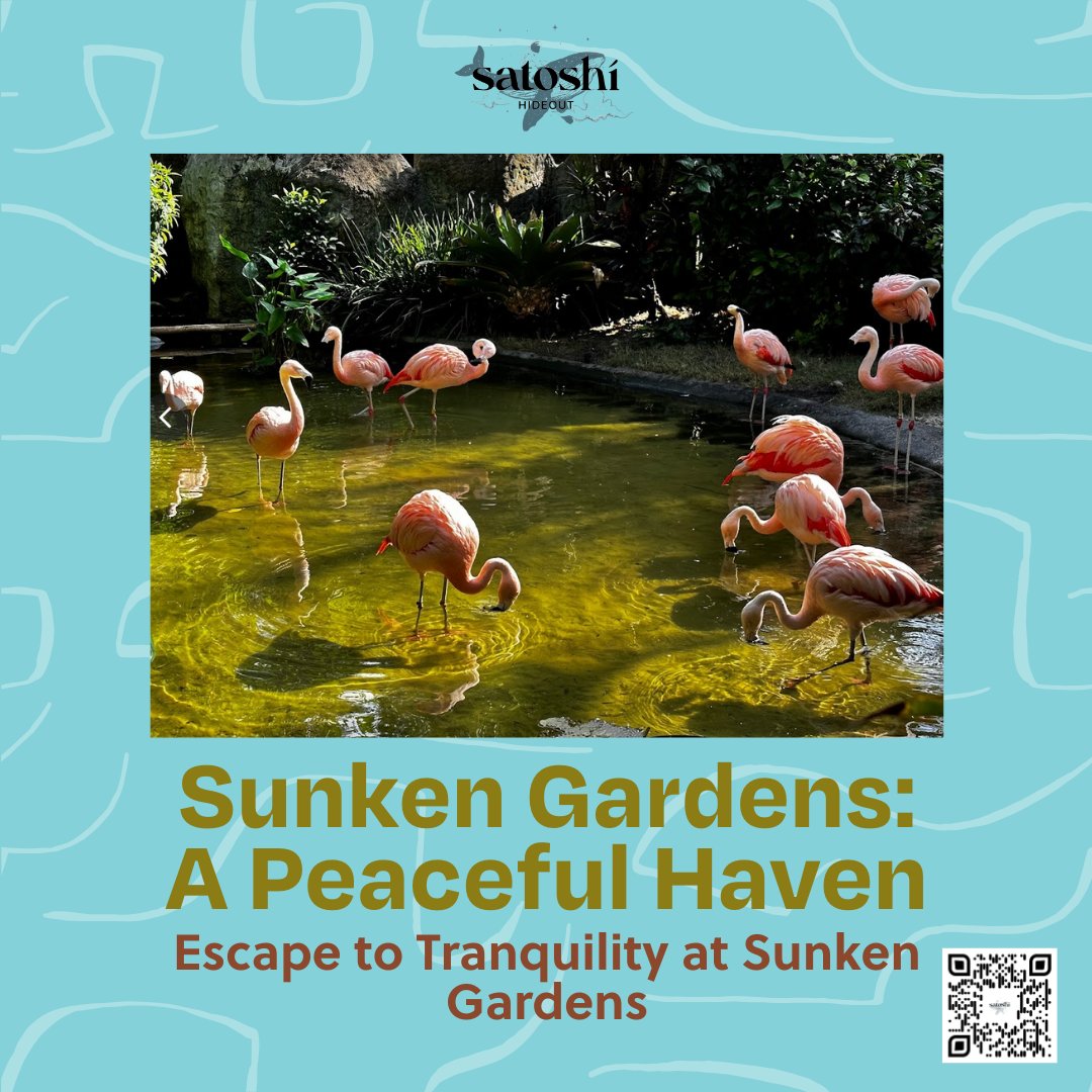'Escape to the lush Sunken Gardens, an urban oasis of tropical plants and wildlife in #stpete. #satoshihideout #thehideoutyouvebeenlookingfor'